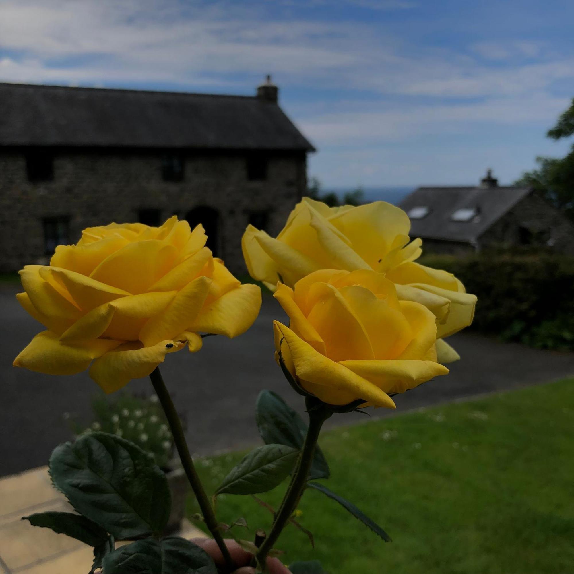 The Old Farmhouse B&B Dyffryn Ardudwy المظهر الخارجي الصورة