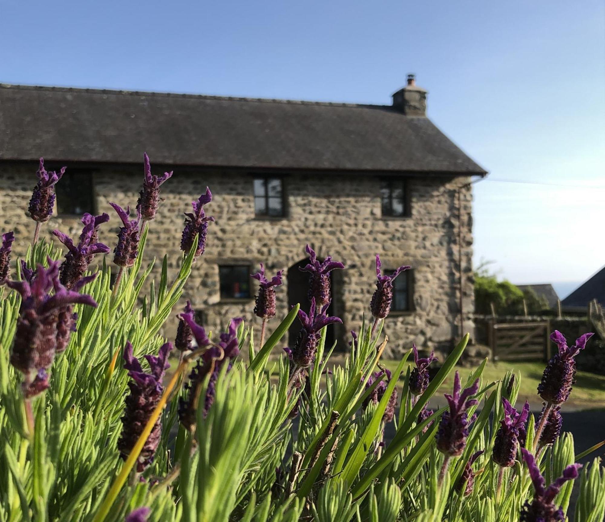 The Old Farmhouse B&B Dyffryn Ardudwy المظهر الخارجي الصورة